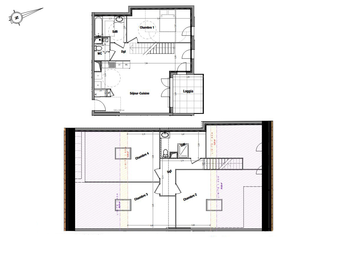 Joli duplex de 114m² proche de Lyon !