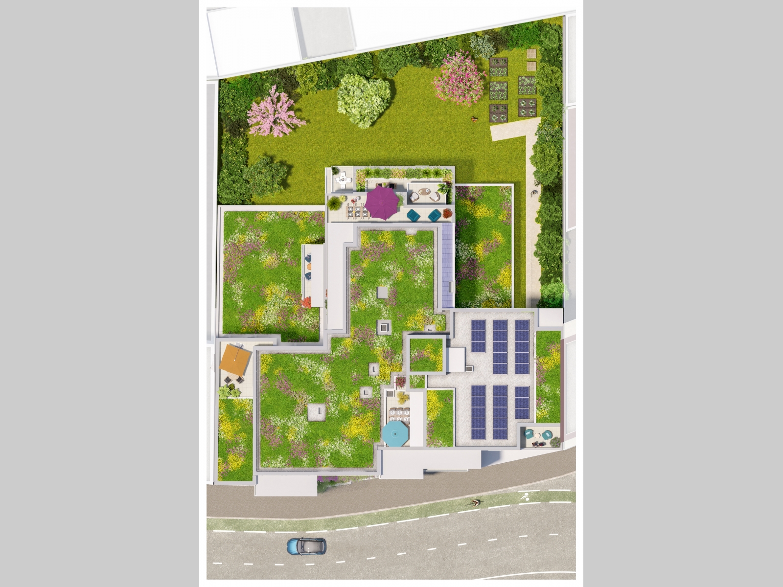 Résidence à Grenoble Superbes appartements avec grandes terrasses vues montagne Résidence à Grenoble Superbes appartements avec grandes terrasses vues montagne ,