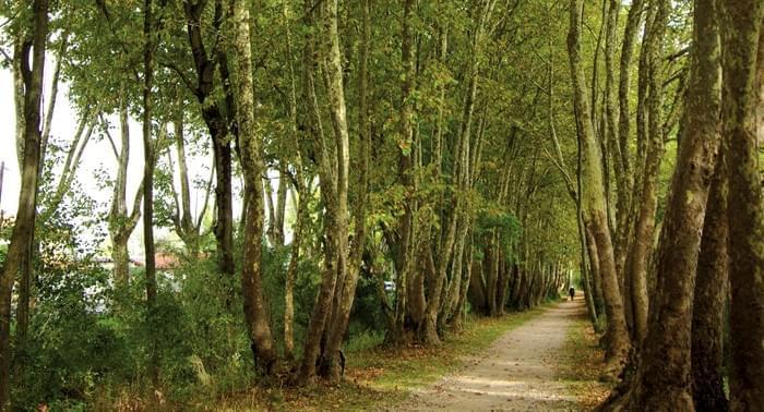 Résidence à Vaulx en Velin Résidence à Vaulx en Velin ,